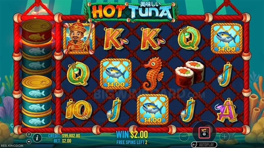 Variety of poker chips and cards representing different poker games at ph365