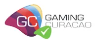 Secure Connection Icon